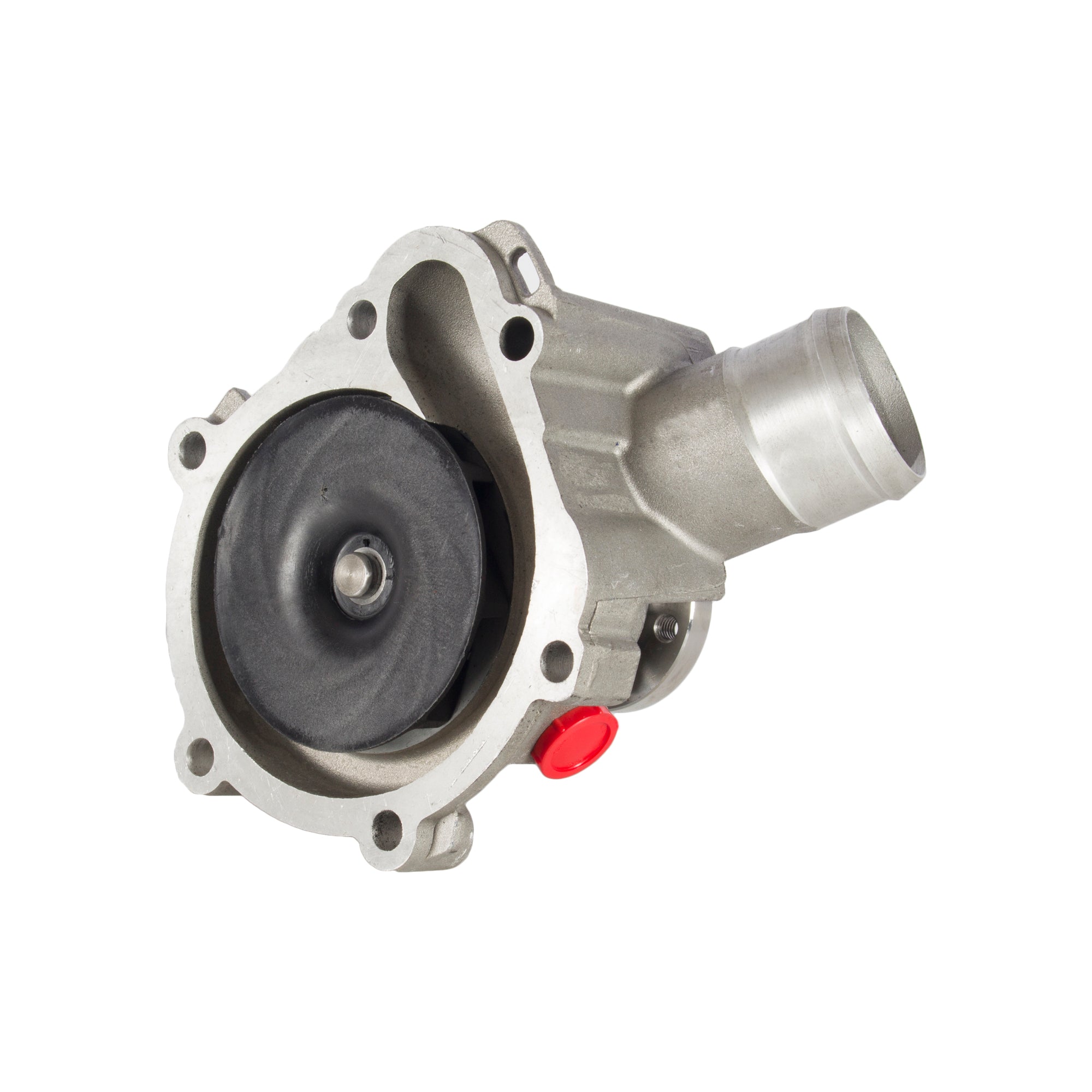 Water Pump Replacement for FENDT Serie: 300 Vario F416200610010