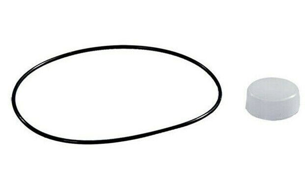 Water Pump Replacement for CASE IH NEW HOLLAND MXM120 TM120 87384588 87802496